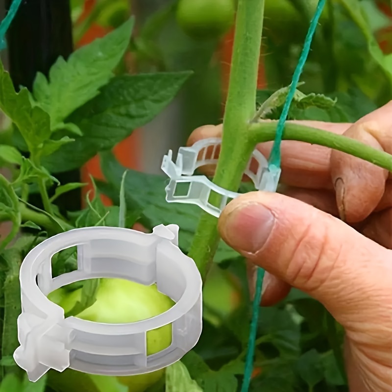 

100pcs Modern Plastic Plant Clips, Round Garden Tomato Ties, Outdoor Hanging Trellis Plant Support Stand - Durable Vine Fixing Clips With Special Functions For Planters And Gardeners
