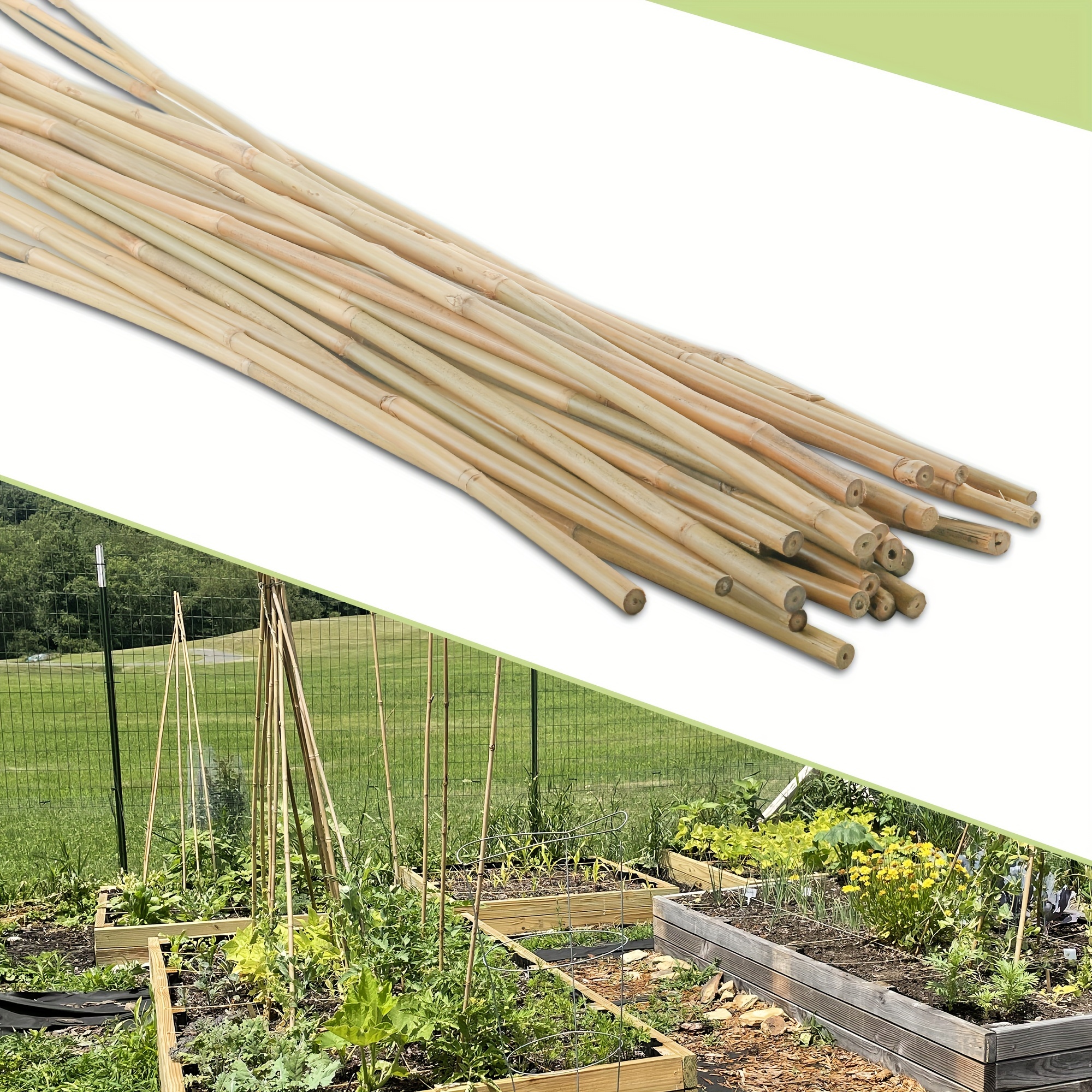 

30pcs Bamboo Plant Stakes For Indoor Outdoor Plants, 0.3 Inch-0.4 Inch/7 Ft Bamboo Sticks Garden Support Stakes Bamboo Poles Trellis For Tomato Vegetables Beans Trees Potted Climbing Plants