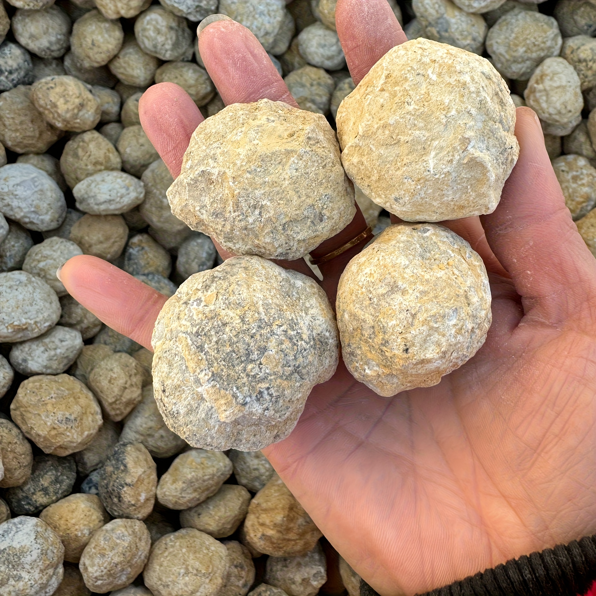 Image of 1/4/8pcs Diy Agate Geode Egg Kit - Moroccan Style Crystal With Agate Crystals, Cut/break Your Own Geode To Hidden Gemstones, Unique Gift For Decor & Crystal Growing Hobby