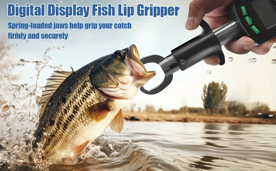 Fishing Scale with Tape Measure