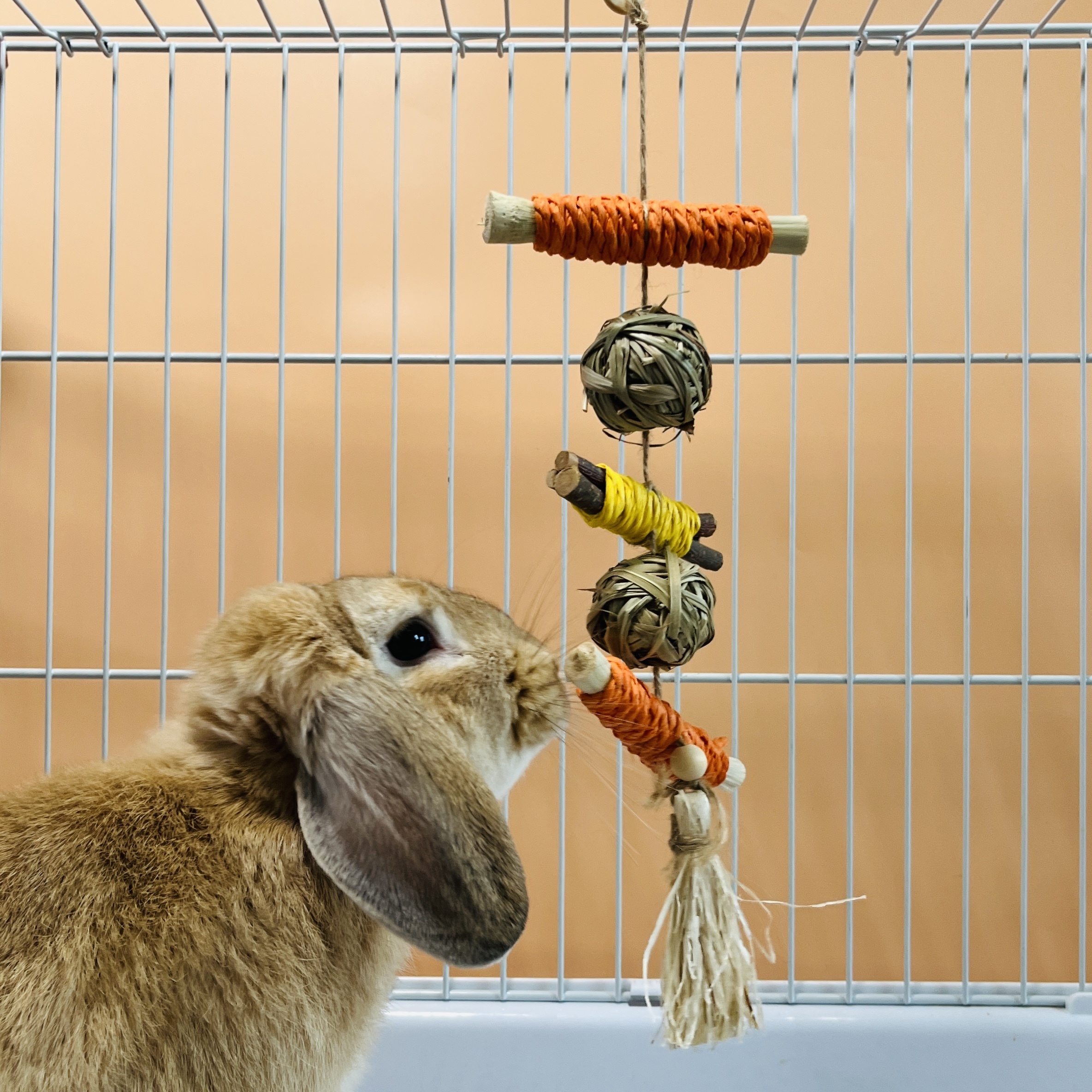 

1pc Rabbit Hanging Toys, Interactive Rabbit Toys For Rabbit Cages