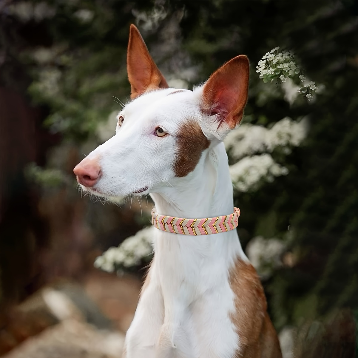 Handcrafted PVC Dog Collar with Metal Buckle, Adjustable