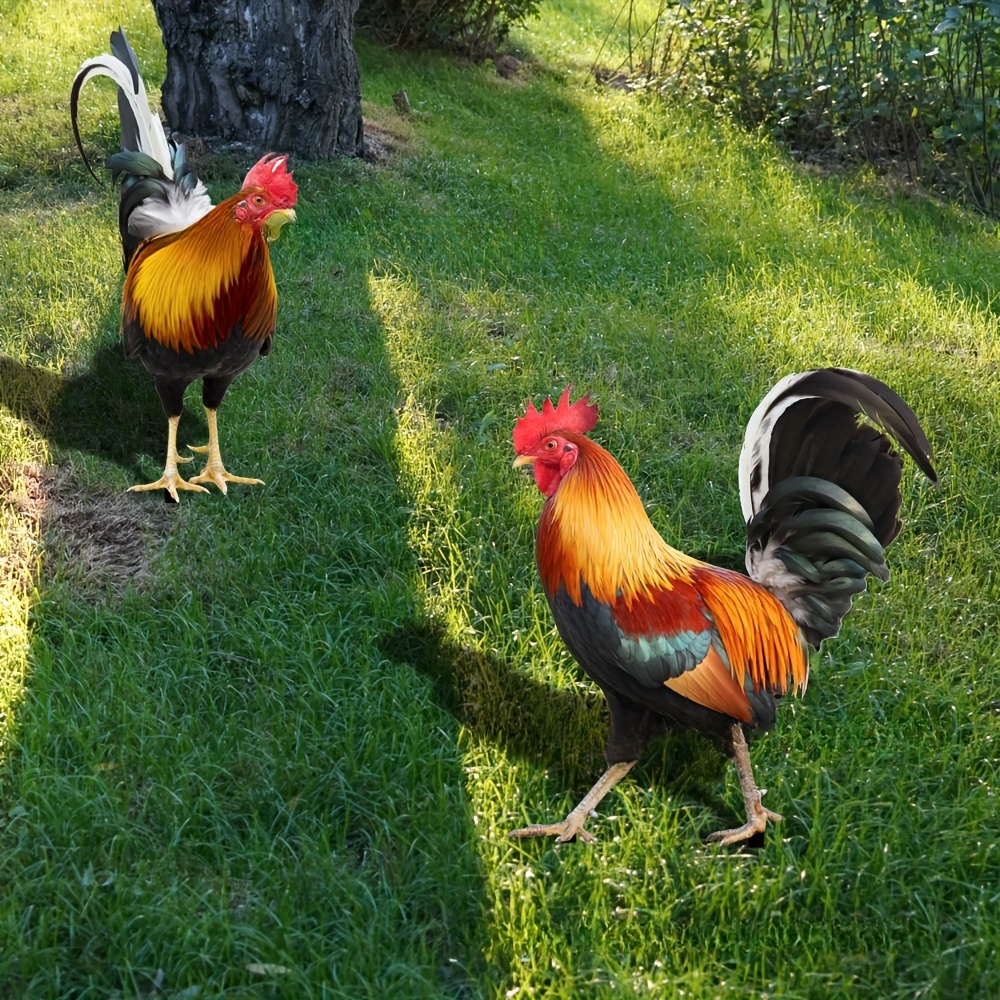 

2pcs Acrylic Rooster Garden Sign With Stakes, Ground Insert Garden Decor, Outdoor Home Decor, Insert Decoration For Home Garden Patio, Fence Yard Lawn Art Decor, Spring Decoration