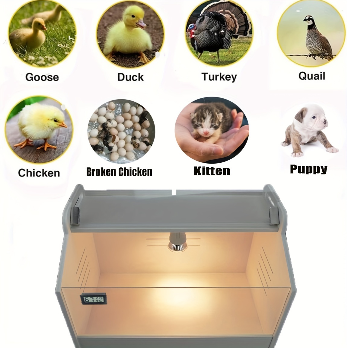 TEMU Pvc Smart Brooding Box 10-15 Newborn Chicks Quail Birds Small Animal Manual Incubator Poultry Heater Breeding Box Pet Box Chicks, Ducks, Quail, Hamsters, Easy To Clean