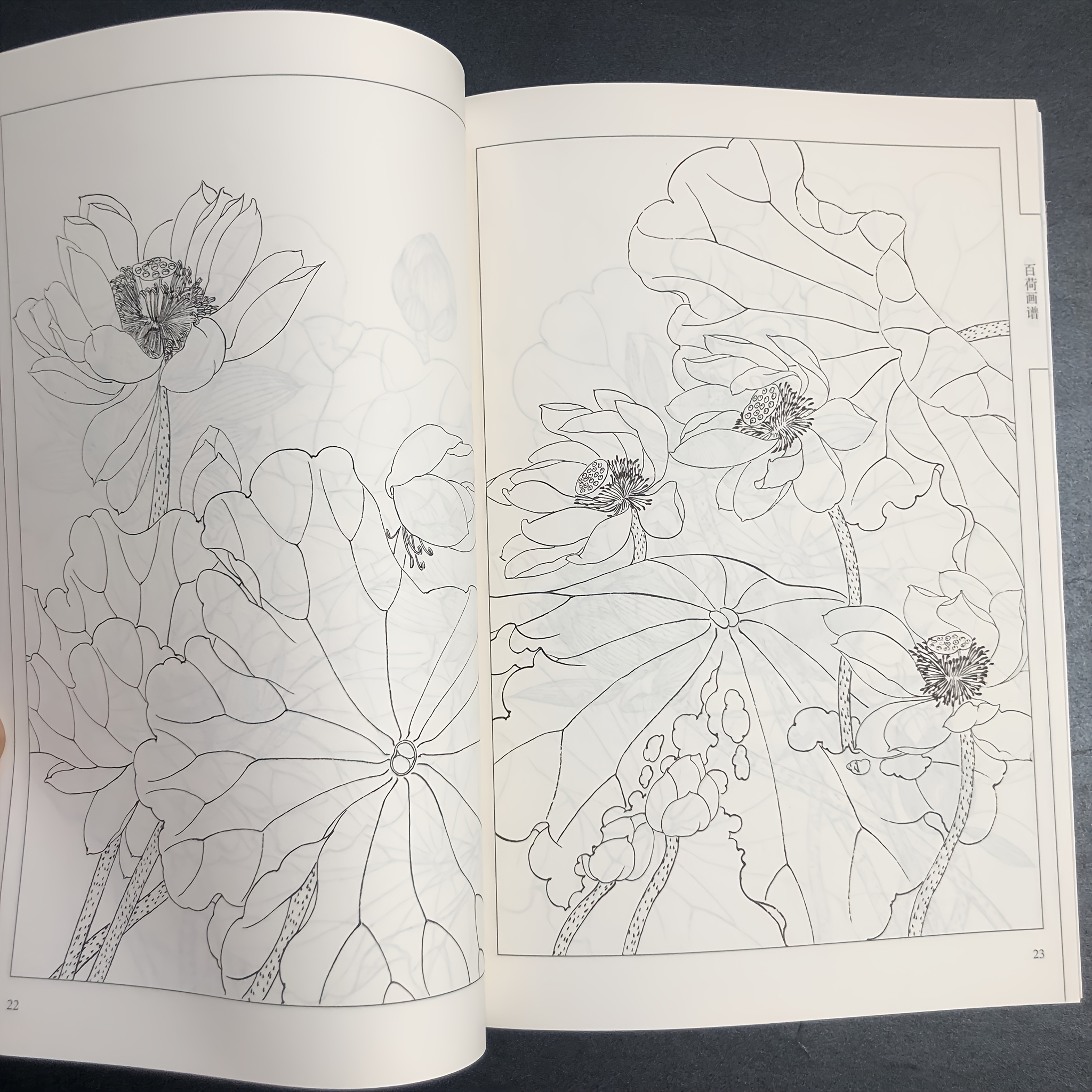 Chinese Line Drawing, a Collection of Lotus Paintings, Suitable for Teenagers And Adults for Stress Relief, DIY Coloring Book, Watercolor, Ink Painting, Oil Painting, Collection of Chinese Art, Chinese Painting Art. Chinese Version