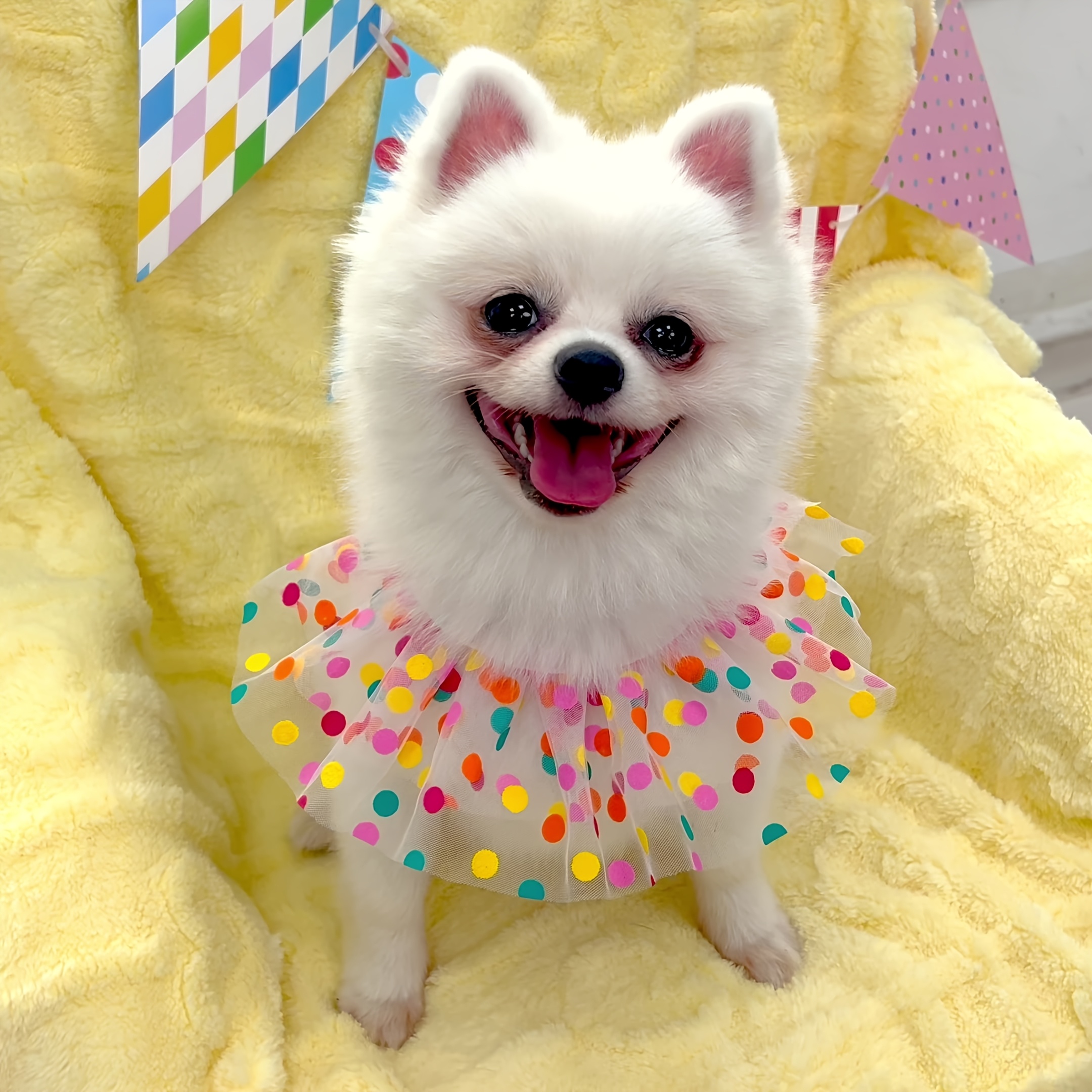 2pcs cute dog birthday party set triangular hat Temu Australia