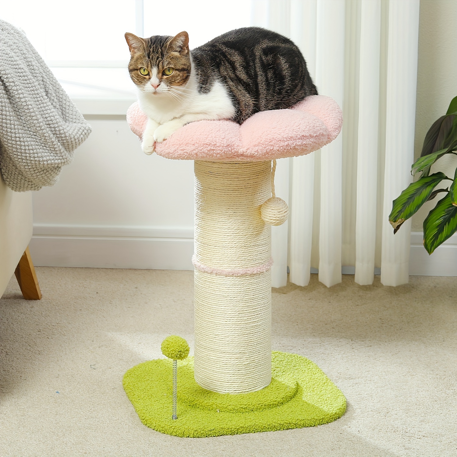 

Cat Scratching , Cat Scratching For Super Scratching [diameter = ], Removable Fluffy Cat Bed, Cat Scratching Shuttlecock