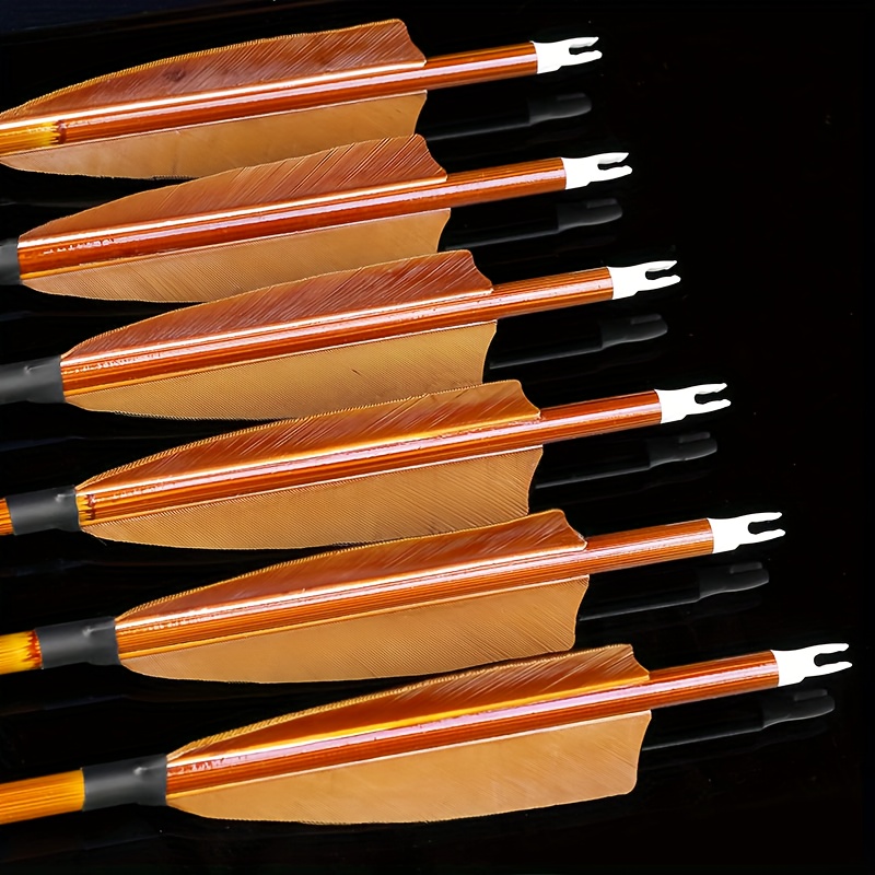set 12 gemischten kohlepfeilen braunem bambus design spine - Temu Germany
