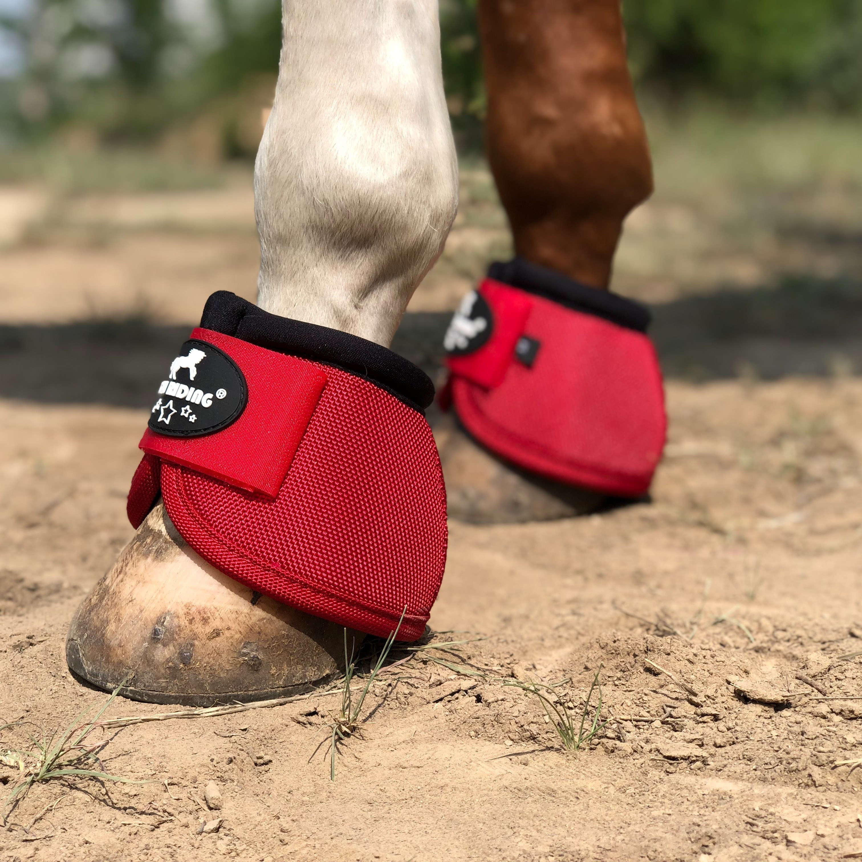 

Anti-shift Horse Hoof Protectors In Large, Medium, And Small Sizes, Without Battery