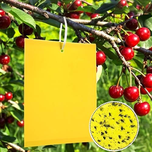 18 ndom Yellow Insect T ps, 15×10cm, with Mounting Lines, Double-Sided Fly T ps, Suitable for Pest Control in , Gardens, Vegetable Patches, , and Courtyards, as Well as Indoor and Outdoor Insect Capture