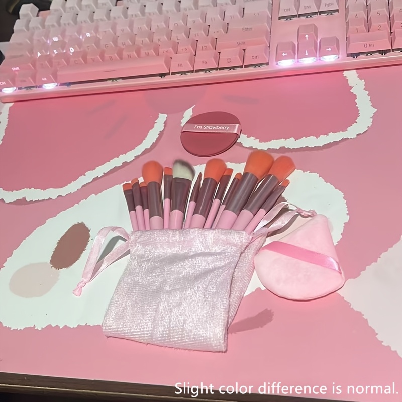 TEMU Ensemble complet de 16 pièces (ensemble de pinceaux de Cosmétique rose et houppette rose), comprenant 13 pinceaux de Cosmétique, 1 houppette
