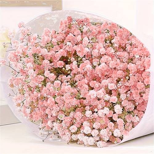 Value Pack 25pcs Dried Preserved Flowers, Gypsophila Paniculata Dried Flower Bouquets, Perfect For Wedding & Home Decor, Floral Arrangements, DIY Projects (It Has Been Processed And Poses No Pest Risk)