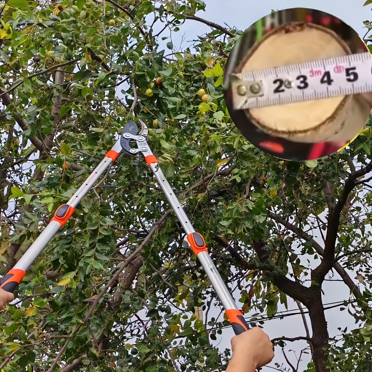 Een meter telescopische krachtige schaar met hoge kwaliteit koolstalen messen, ambidextrous, constructie van mangaanstaal