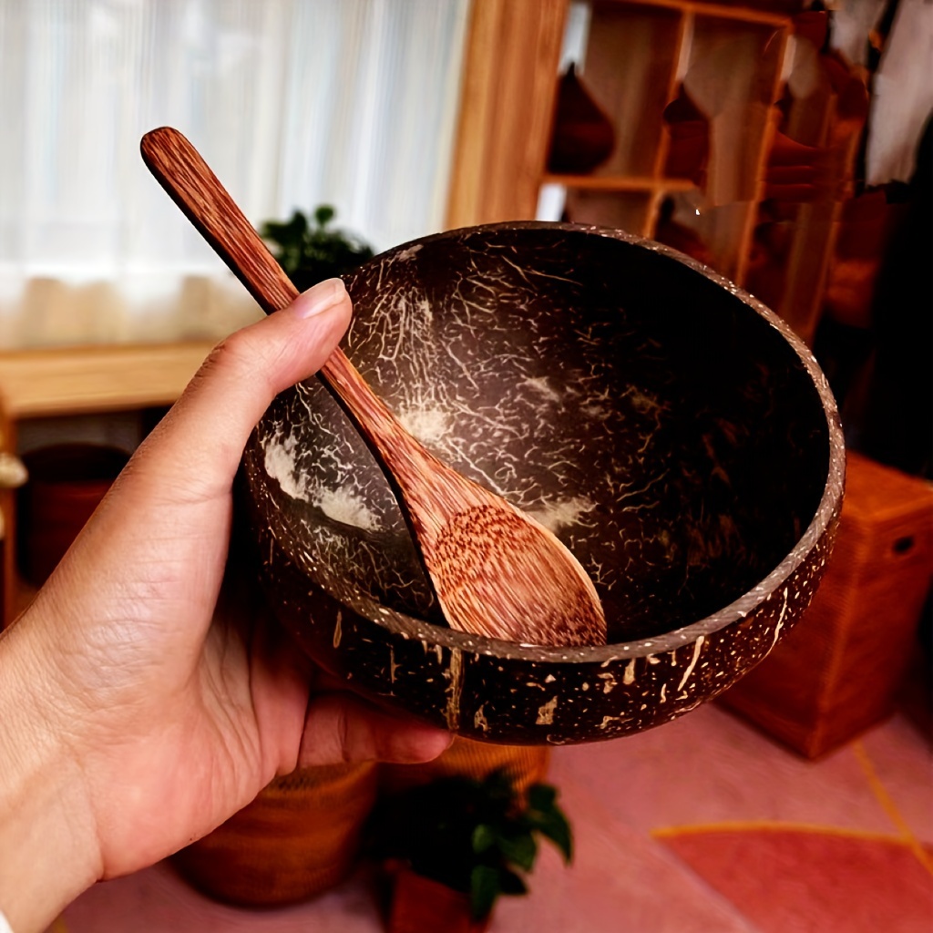 Coconut Shell Bowls with Spoon Set