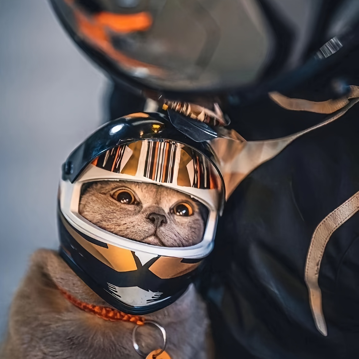 are shoei helmets worth the money Is shoei worth the extra money? : r/motorcyclegear