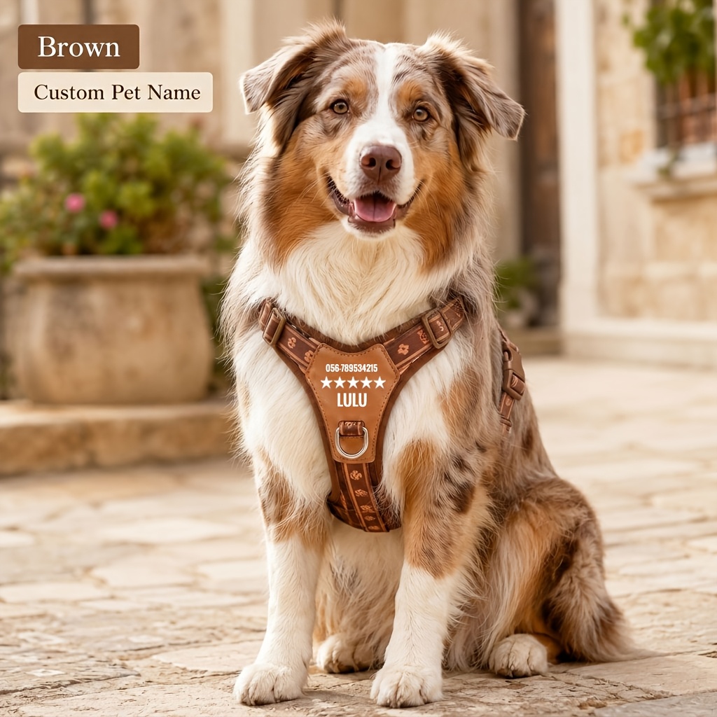 TEMU Customizable Name Dog Harness, Pet Lead Vest, Canine Chest Harness, Nameplate, Retro Style Dog Vest Matching, Breathable Adjustable Small To