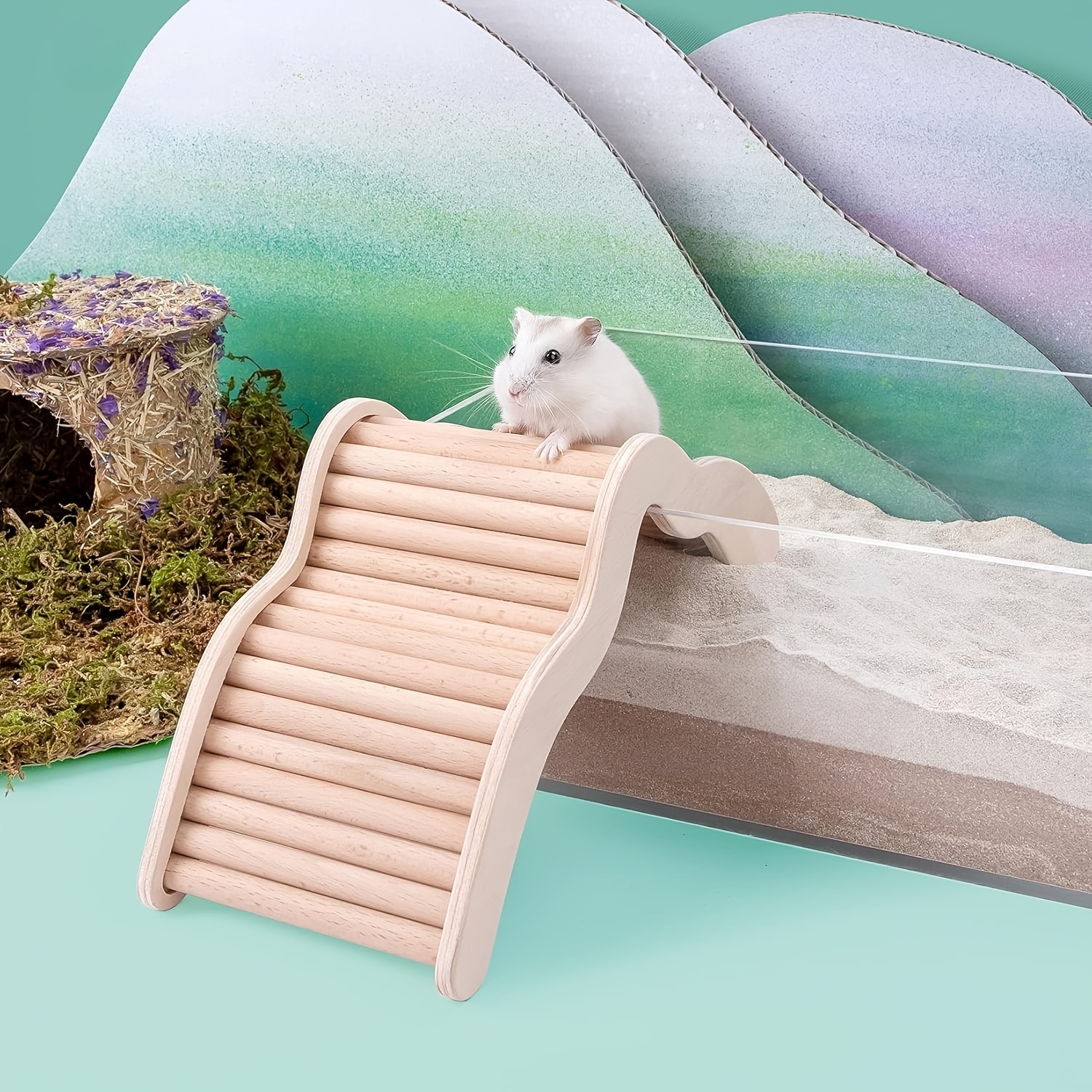 Hamster Climbing Bridge Ladder for Small Pets