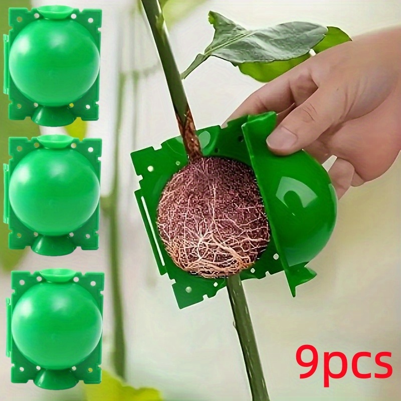9pcs rooting box compatible for plant propagation grafting heavy duty plastic rooting box with air layer grafting balls   propagation unit for garden trees     rooting tool