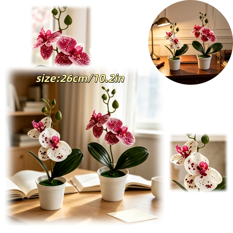 TEMU 2 Pots Of Artificial Phalaenopsis Orchid Potted Plants, Artificial Orchid Desktop Floral Decor, Home Decoration, Suitable For Living Rooms,