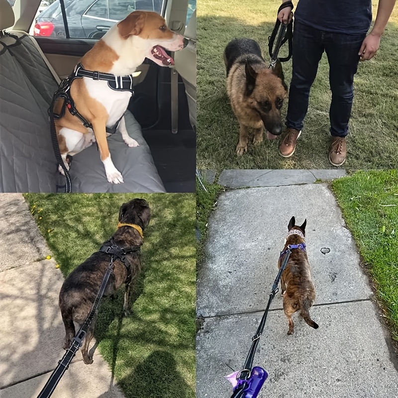 Durable Anti-Pull Leash for Large Dogs, 6-Foot Length