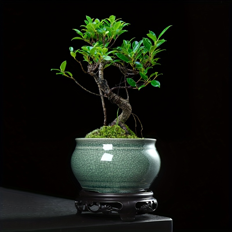 

Pot de Bonsai Céramique Vintage avec Trou de Drainage, Motif Rayé Rond, Laquée, Utilisation Intérieure et Extérieure, Montage sur Table, Idéal pour Plantes et , Planteur de Bonsai Décoratif (1 pièce)