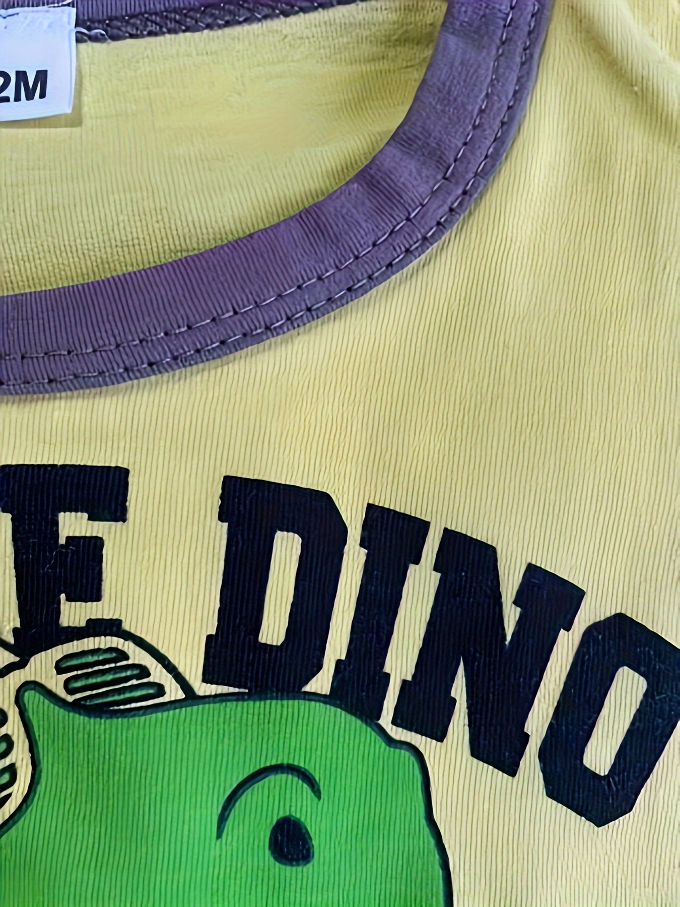 Boys Dinosaur Clothing