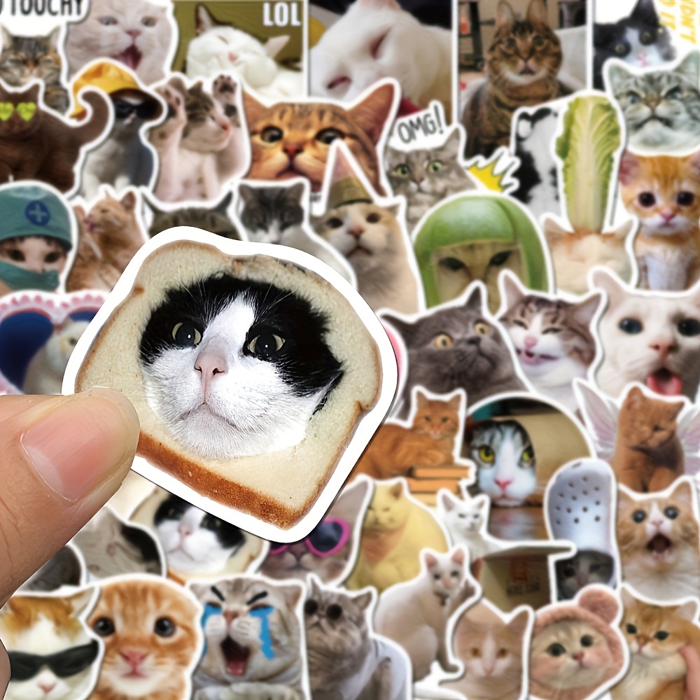 KyeeaDIY 6 stuks schattige kattenstickers, laptop telefoon kattenstickers, cartoon stickers auto grappige kat stickers muur, waterflessen dier vinyl stickers (PVC kittenstickers