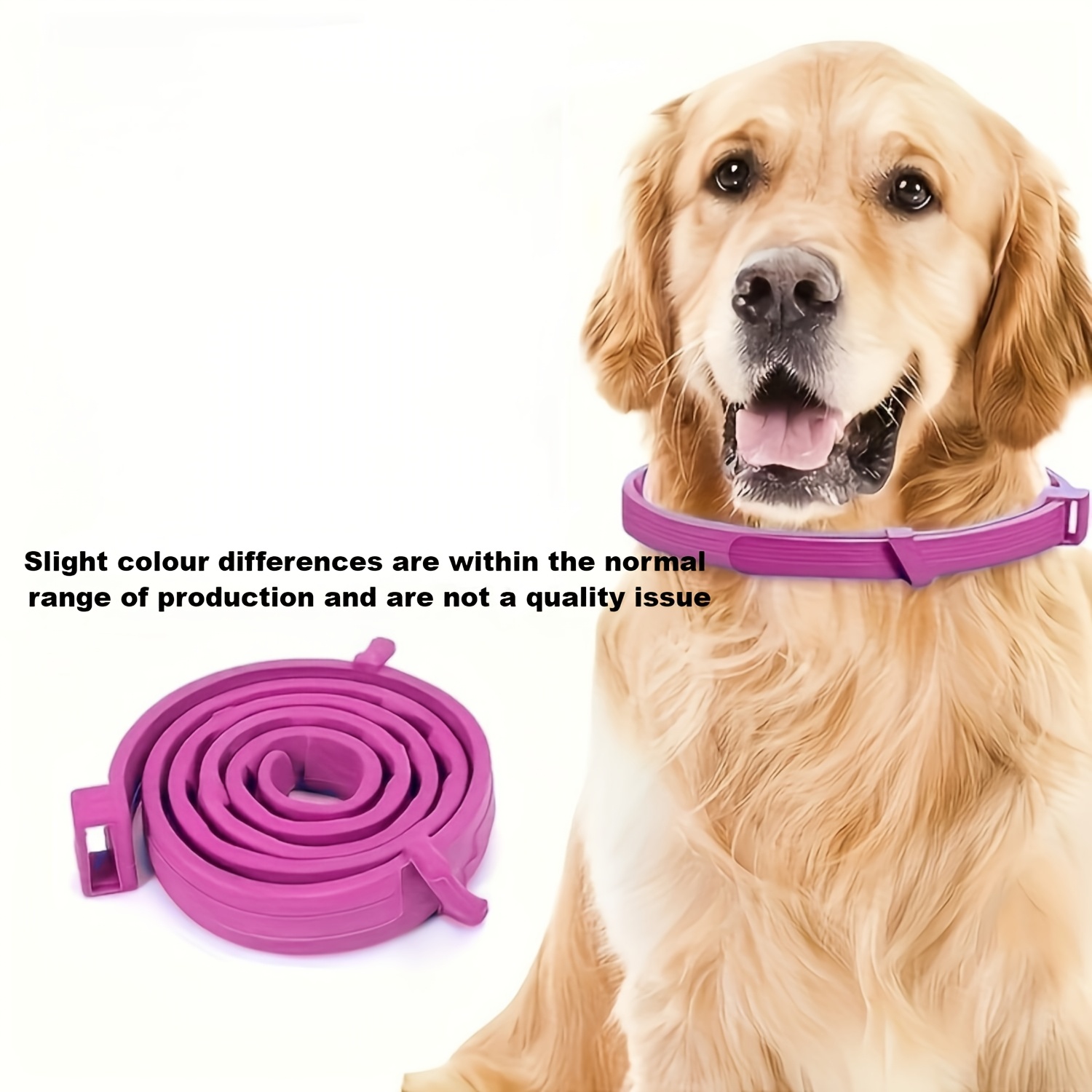my signature hundefutter My Signature Menü Bio-Ente main image 0