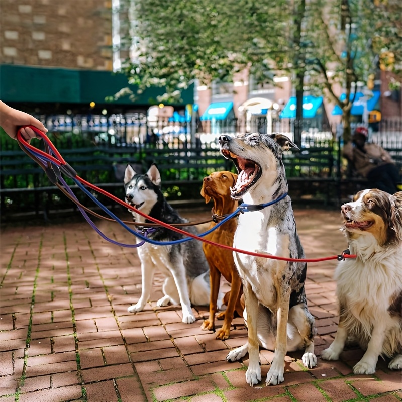 5pcs Heavy-Duty Nylon Dog Training Leash Set