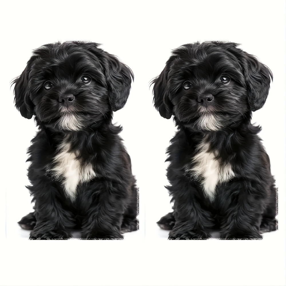 TEMU 2pcs, Chiffons et torchons de cuisine en polyester avec un adorable motif de chien Havanais noir. Ces torchons de cuisine réutilisables sont