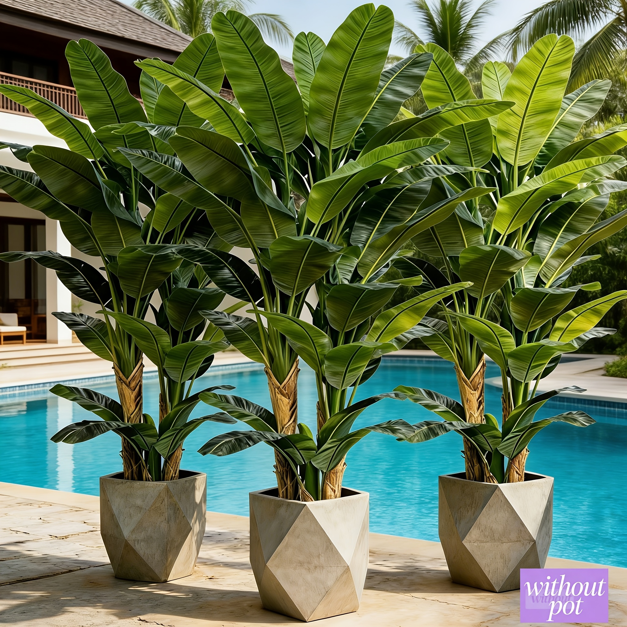 3pcs Set - Large Artificial Palm Trees - Outdoor Faux Greenery - Banana Tree | Broad, Lush Leaves and Branches, Maintenance-Free, Suitable for Indoor/Outdoor Decoration, Decor for Scenes Like Gardens, Courtyards, Living Rooms, Bedrooms