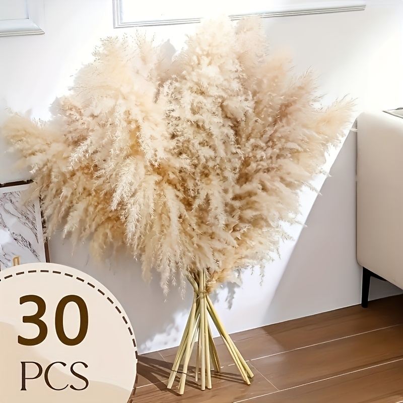 Image of 30 Stems 98cm/37inch Tall Pampas Grass Dried Flowers Grass Bouquet Boho Indoor/outdoor Living Wall Farmhouse Floral Decor Dry Flower High Festival Decoration