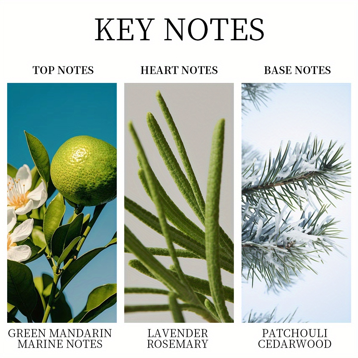 LASTAR Eau de Parfum pour Homme, Parfum Classique Frais et Aromatique, Fragrance Longue Durée aux Notes de Mandarine, Lavande, Patchouli et Cèdre, Parfum Quotidien, Boîte Délicate, 1.69 fl.oz