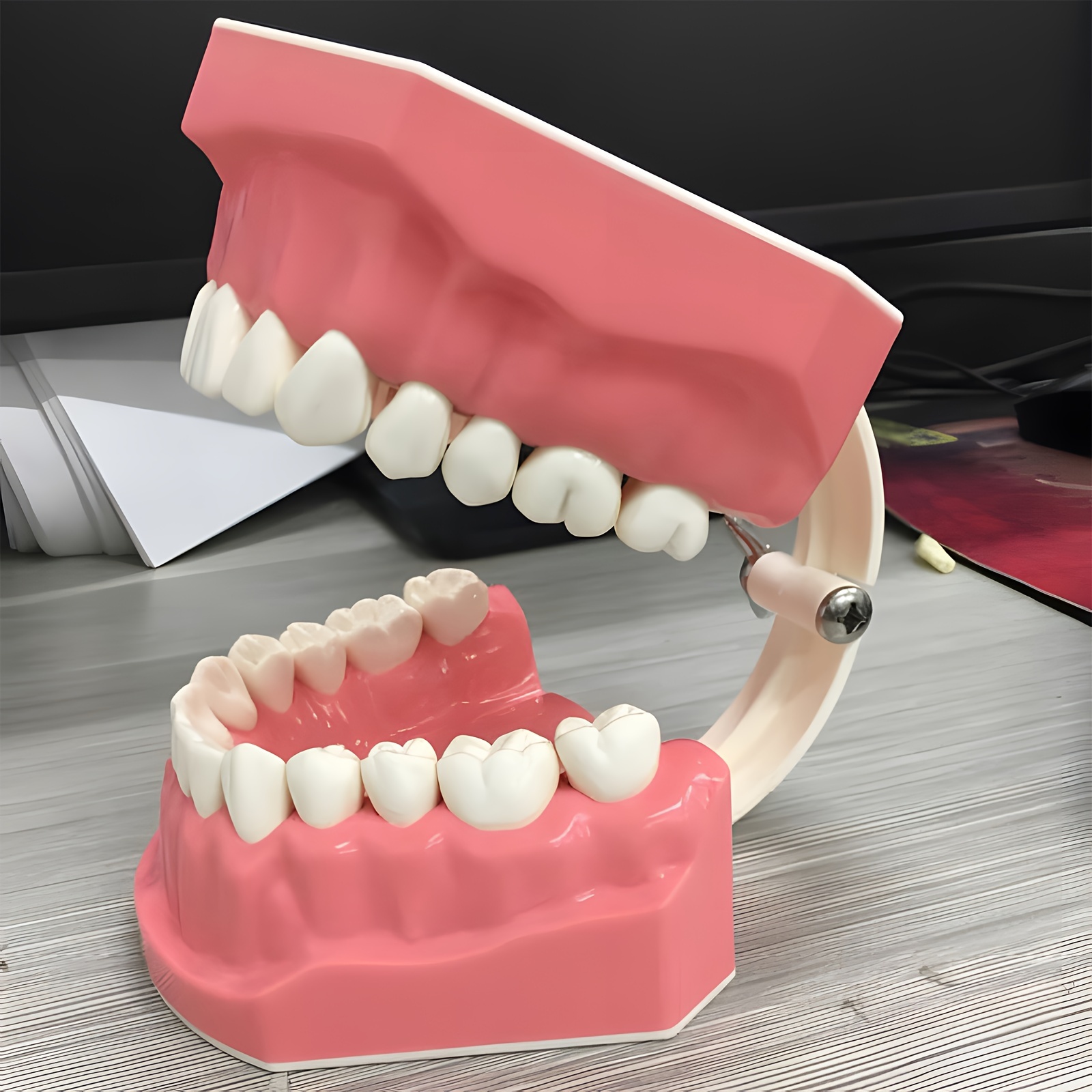 Dental Typodont Teeth Model 1:1 Brushing Flossing Practice