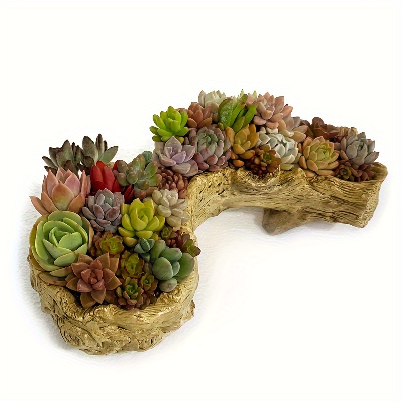 

1pc, Imitation Tree Head Succulent Planter, Large-caliber Resin Imitation Planter, Succulent Flower Maker Dead Pot