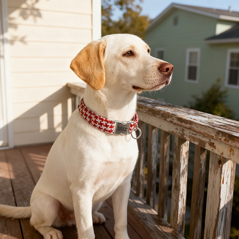 Custom Plaid Pattern Dog Collar with Zinc Alloy Buckle