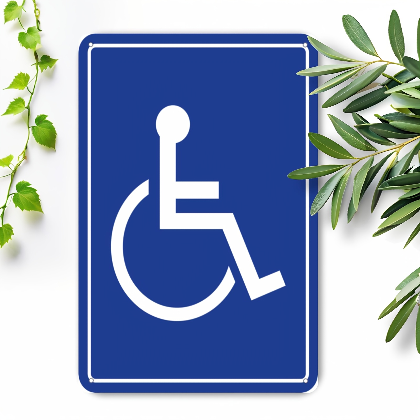 TEMU 2d Flat - 2d Plane - 8.0x12.0 And White Metal Sign, Suitable For 2d Plane Wheelchair Access - Durable And , Suitable For Windows And Vehicle