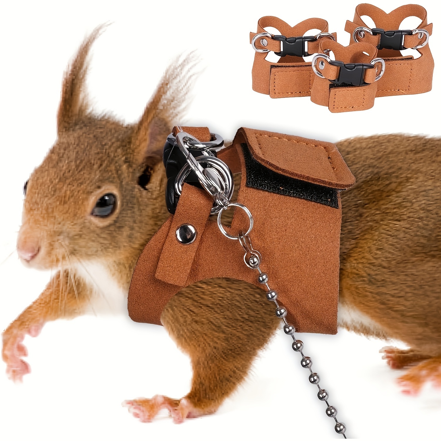 Squirrel Chinchilla Leashes Rat Harness Barn Eleven Squirrel
