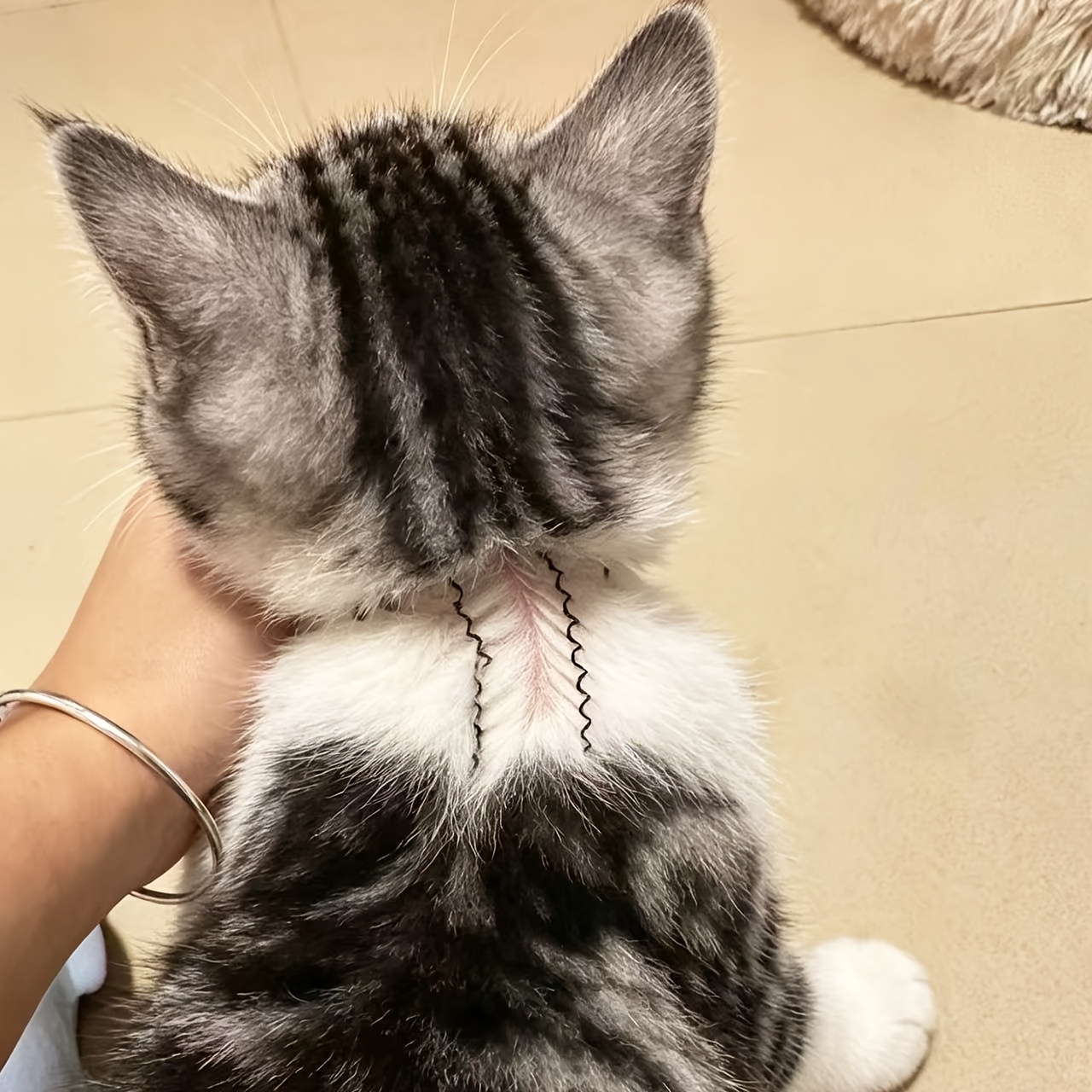 2pcs pet deworming medication application clips pet hair parting clips   tools for assisting with external deworming medication application on pets Product details 0
