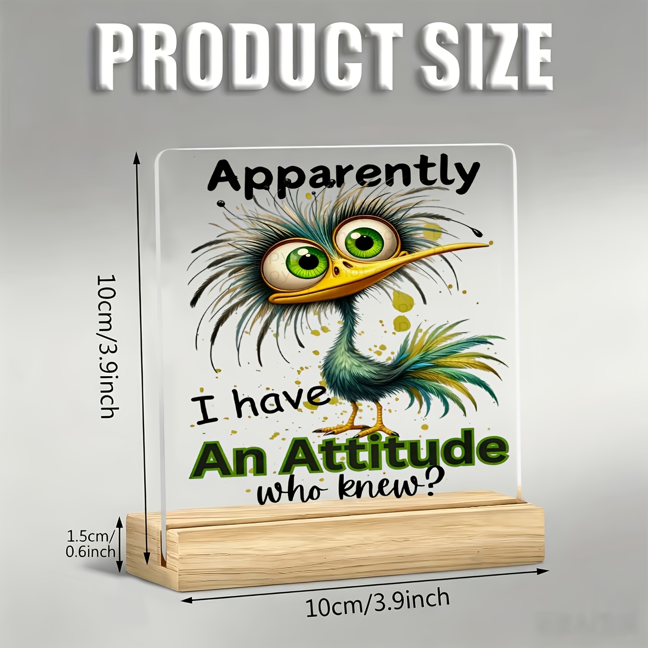 TEMU 1 pièce Presse-papiers Oiseau aux grands yeux de dessin animé "Une attitude", Slogan et inspirant, Ornement en acrylique, avec base en bois,