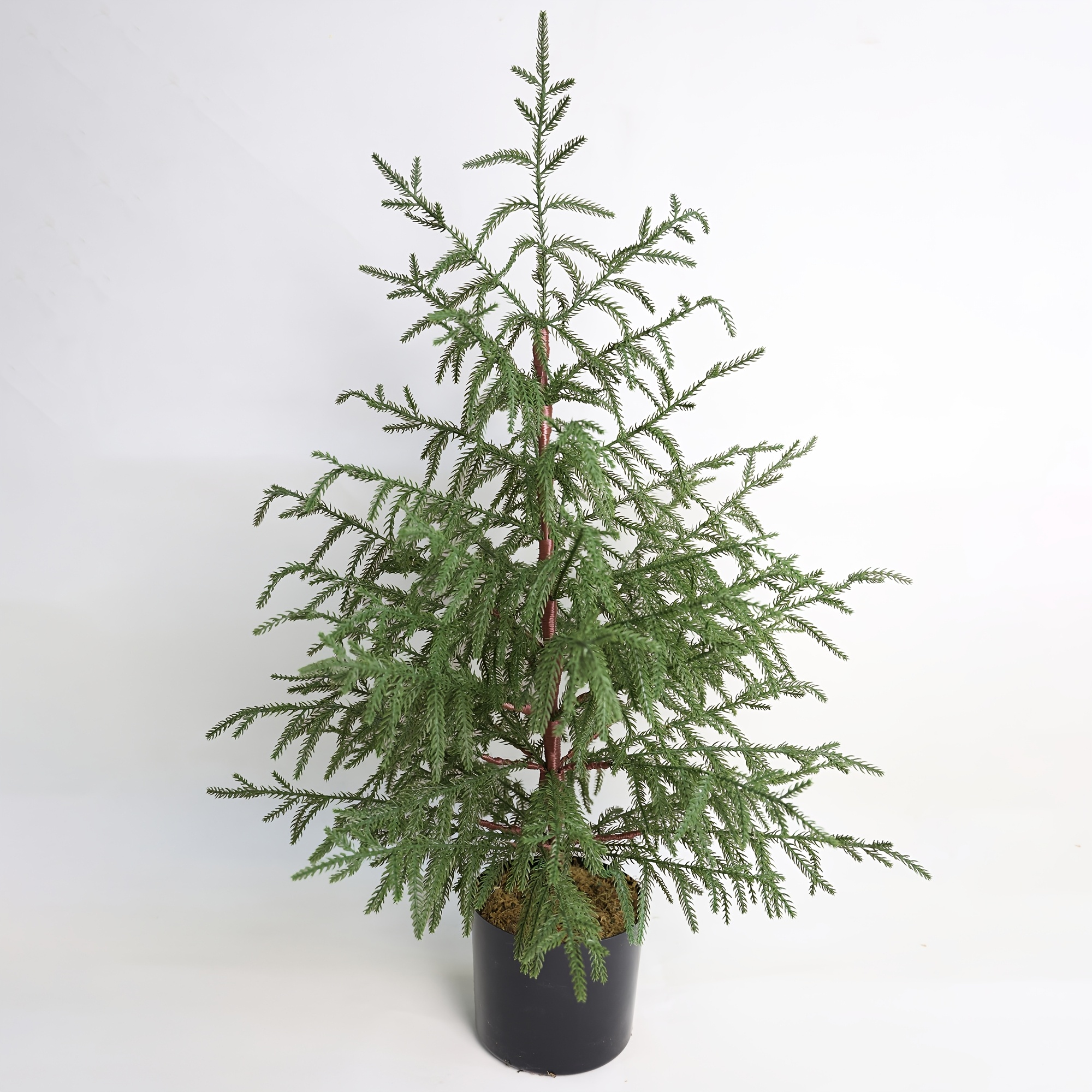 36" Lifelike Artificial Norfolk Pine Tree - Indoor & Outdoor Decor, Includes Pot, Artificial, Norfolk Pine Tree, , Indoor Outdoor Decor