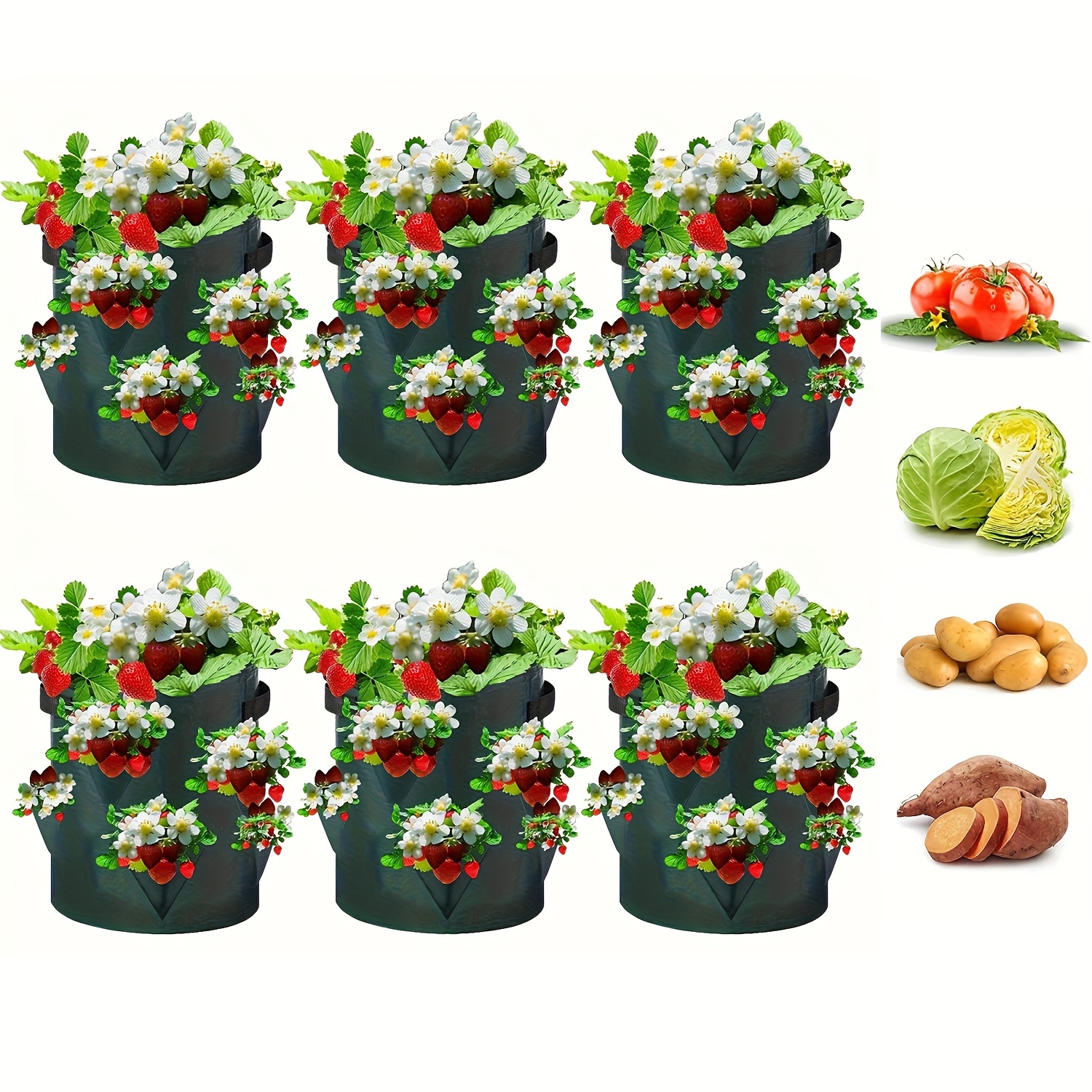 Garnen [20 Gallons] Sacs de Culture de Jardin (5 Packs), Sacs de Culture de  Légumes / Fleurs / Plantes, Non-Tissé Épaissi Robuste Pots Planteur avec  Poignées Renforcées 