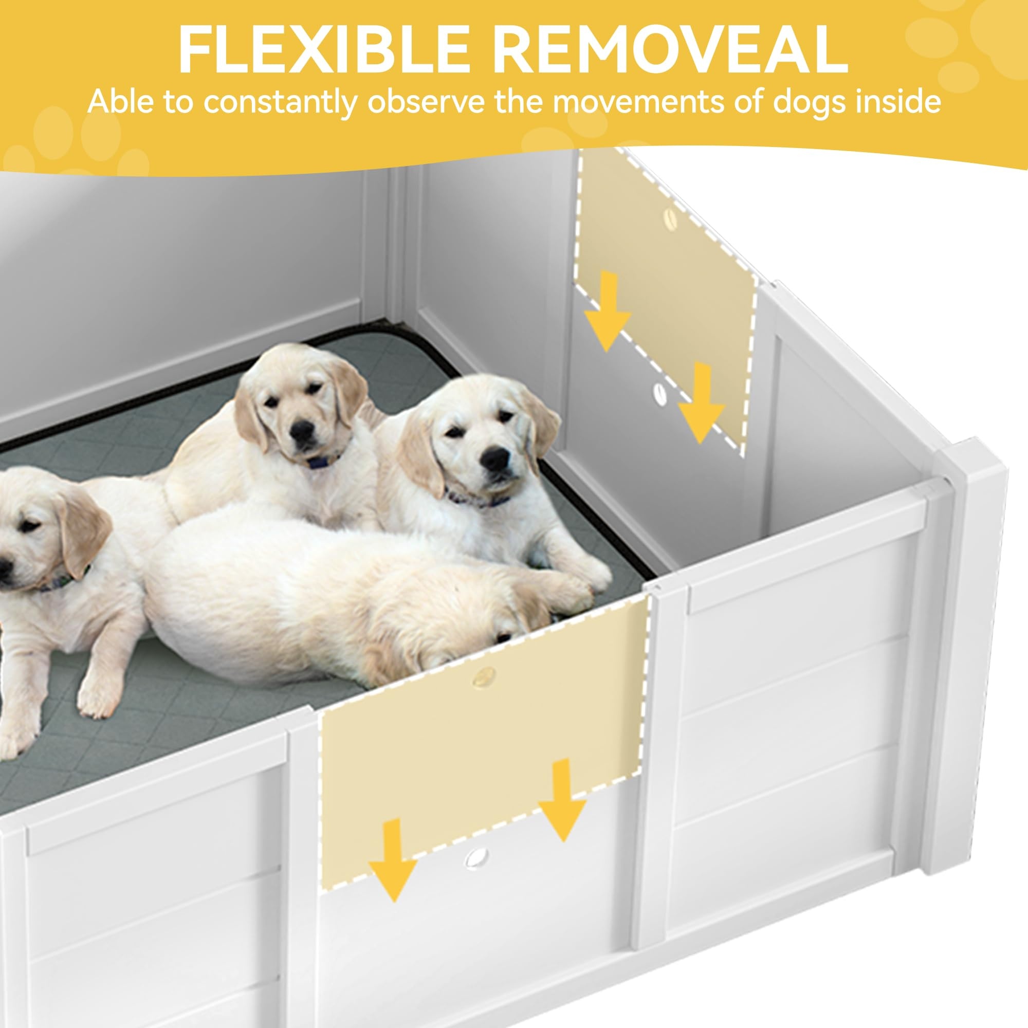 Labrador Retriever Whelping Box For Labrador Puppy Love Whelping