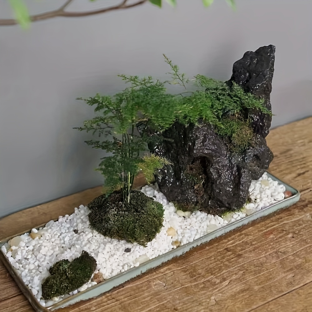 Guijarros Blancos de 1-3 cm, 300/600 g, Ideales para Decoración en Macetas y Paisajismo con Plantas o Flores, Adorno para Acuarios