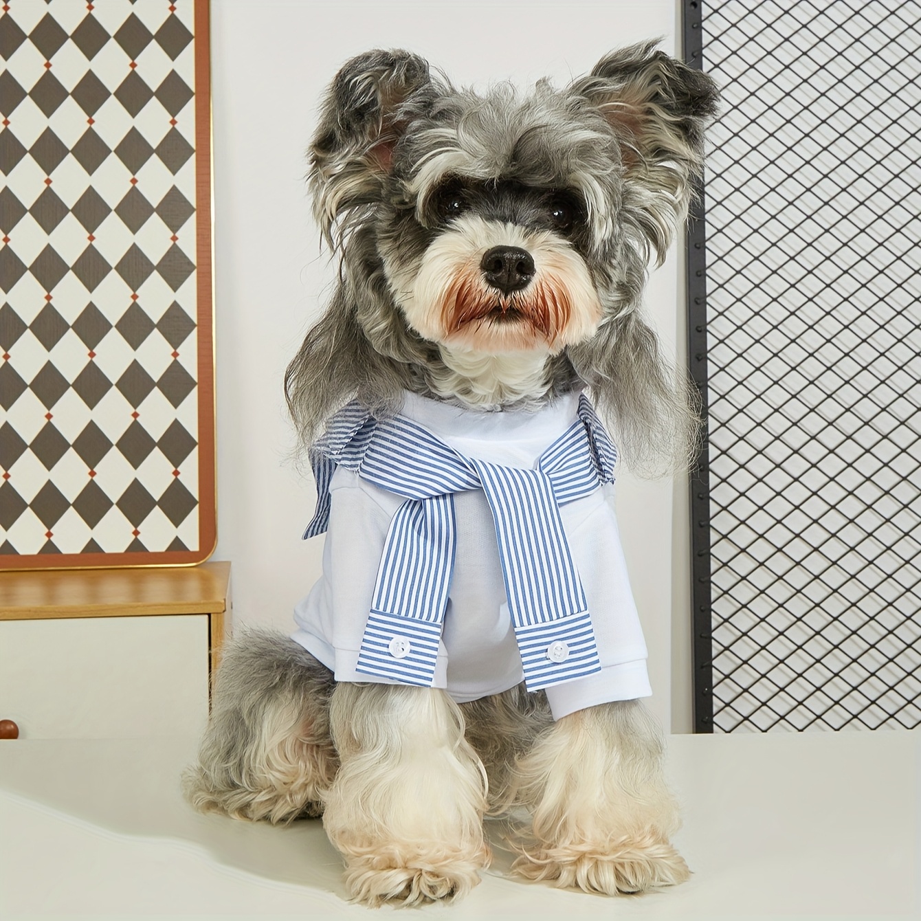 ropa verano mascotas camiseta casual perros Temu Colombia