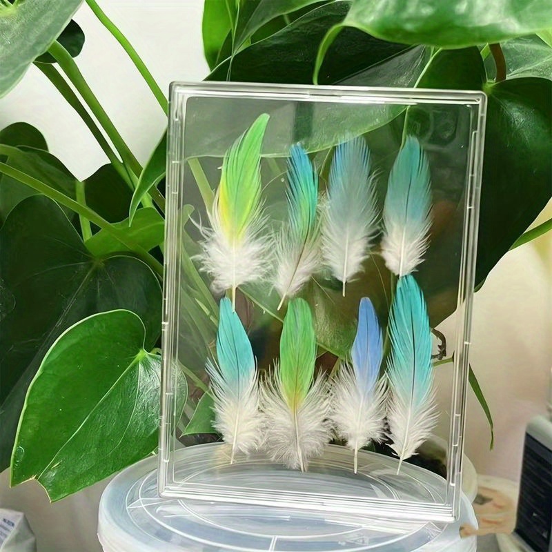 Pet Bird Feather Keepsake Display Box, High-Definition Transparent - Elegant Memorial Box to Preserve the Warmth of Your Pet. Suitable for Budgerigars, Cockatiels, Lovebirds, and Various Other Bird Feather Collections. A Durable Frame for Bird