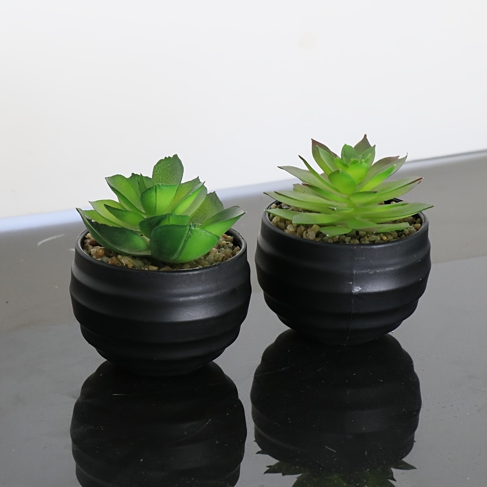 Image of 2pcs Artificial Succulent Plants In Pots, Faux Bonsai Greenery Decor, Plastic Tabletop Accents, With Containers For Home Office, Living Room, Bathroom, Indoor & Outdoor Decoration, Birthday Gift