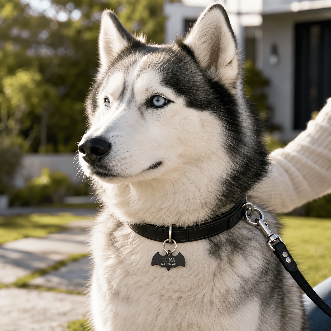 TEMU Personalized Stainless Steel Pet Id Tag, Custom Engraved Bat-shaped Name Tag With Name And Phone Number, Durable Pet Collar Identification Tag,