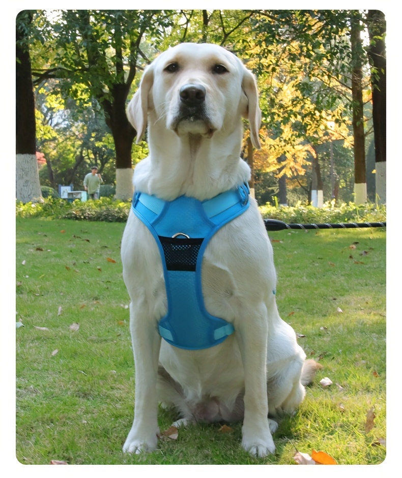 pet chest strap with massage point dog chest back soft breathable mesh cloth design comfortable not stuffy can also be outdoor traction suitable for medium and large dogs reflective strip design can also travel safely at night details 7