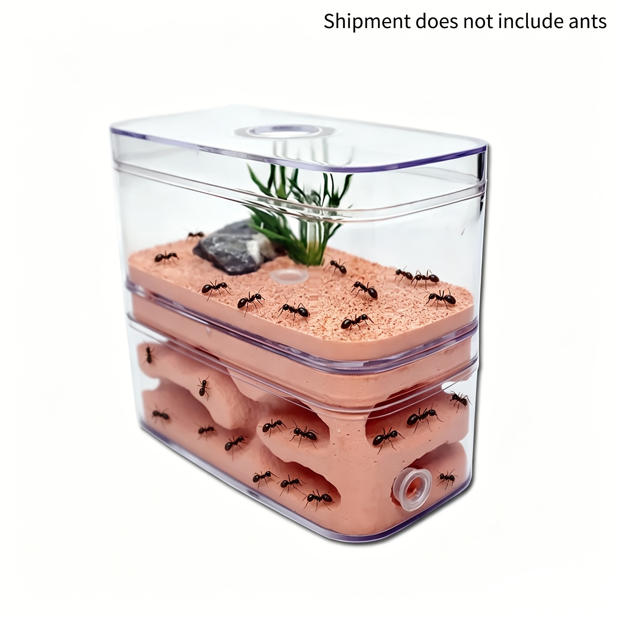ant farm castle sold on Temu Australia